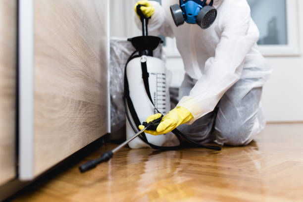 Reliable Laupahoehoe, HI Pest Control Solutions
