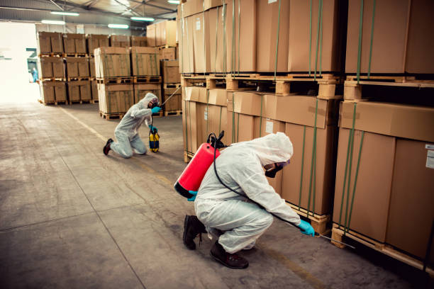 Best Ant Control Services  in Laupahoehoe, HI