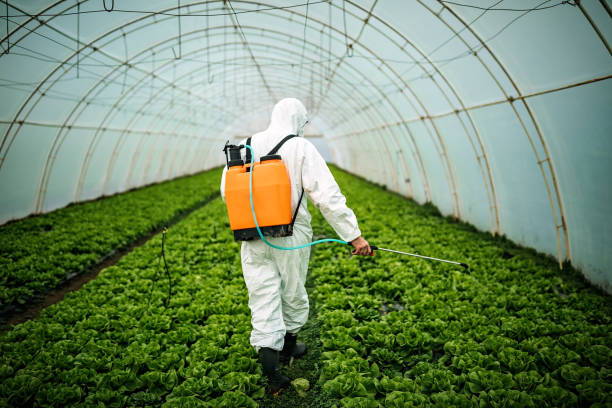 Best Best Pest Control Companies  in Laupahoehoe, HI