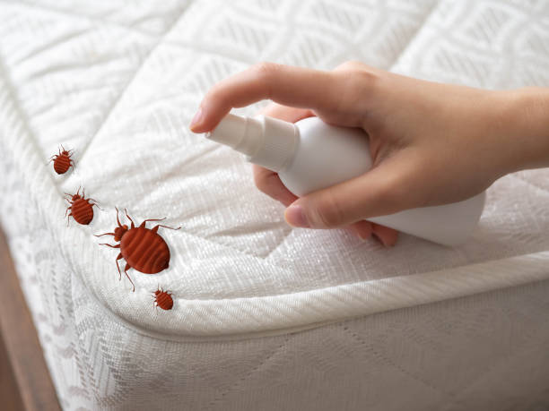 Best Insect Control  in Laupahoehoe, HI